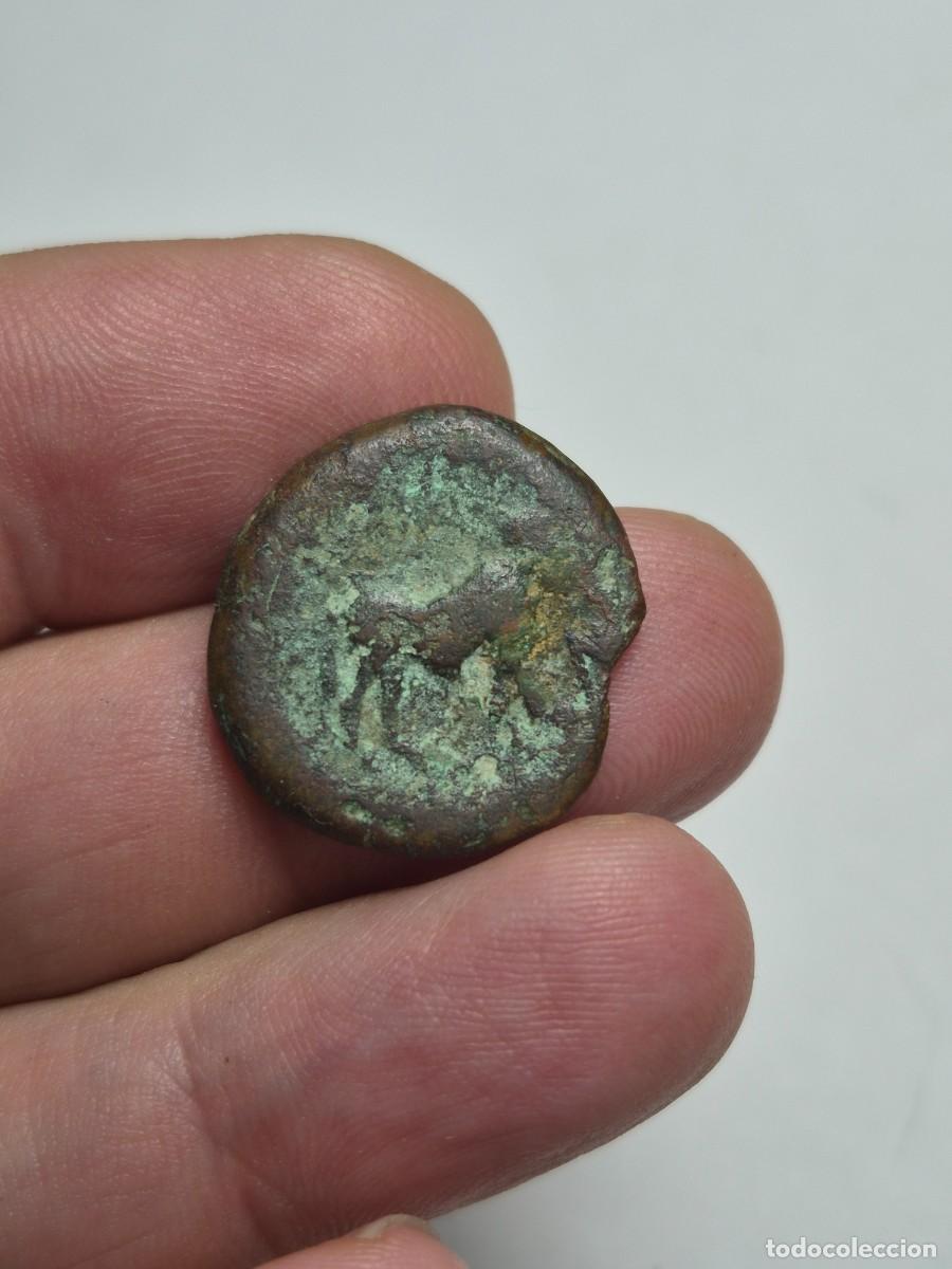 Monedas ib&eacute;ricas: NT/ SEMIS IBERICO CASTULO 7,00 grs (A1737) - Foto 2