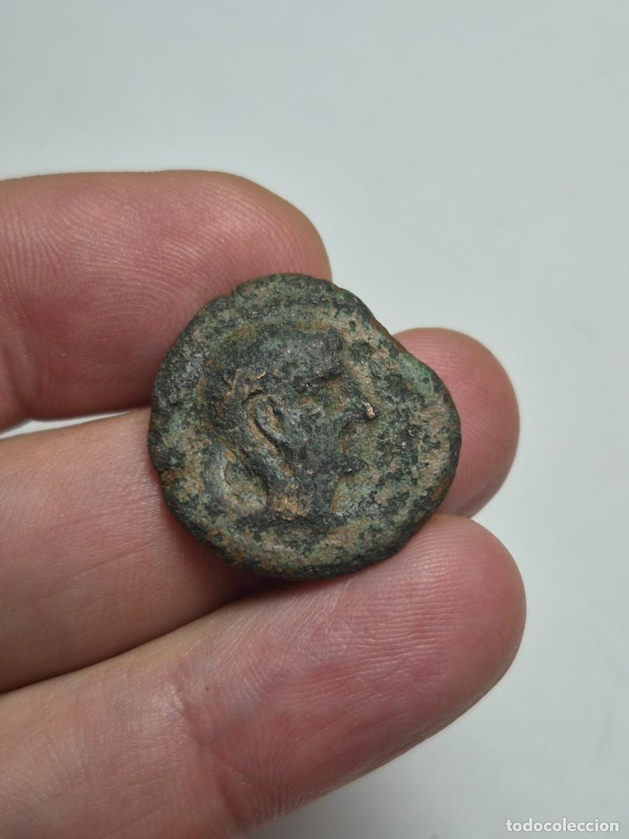 Monedas ib&eacute;ricas: NT/ SEMIS IBERICO CASTULO 9,61 grs (A1738)
