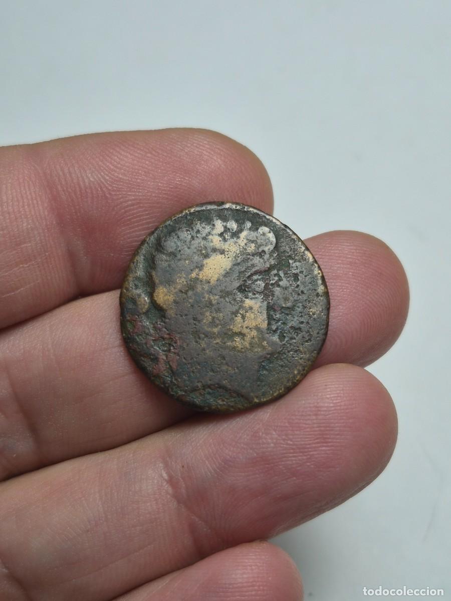 Monedas ib&eacute;ricas: NT/ AS IBERICO IBERICA SEKIA 7,15 grs (A1739)