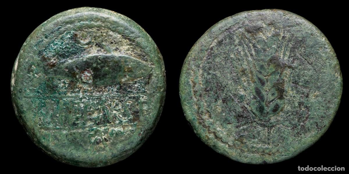 Monedas ib&eacute;ricas: Ancient Hispania As, Ilipense Alcal&aacute; del R&iacute;o (Sevilla) - 29 mm / 19,76 gr.
