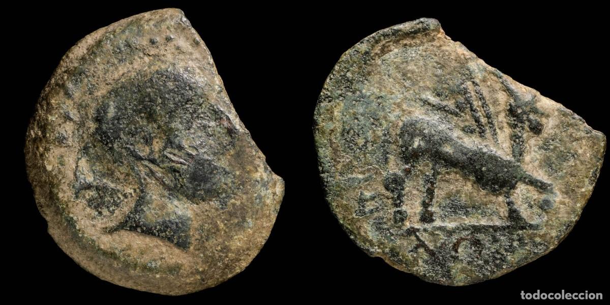 Monedas ib&eacute;ricas: Ancient Hispania - Iliberri (Granada) Ae As - 31 mm / 16.60 gr.