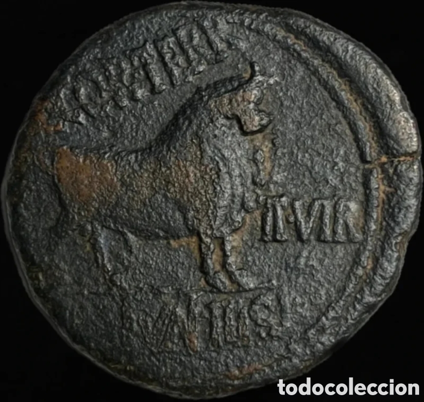 Monedas ib&eacute;ricas: As hispano-romano Celsa 27 a.C.-14 d.C. Augusto - Foto 2