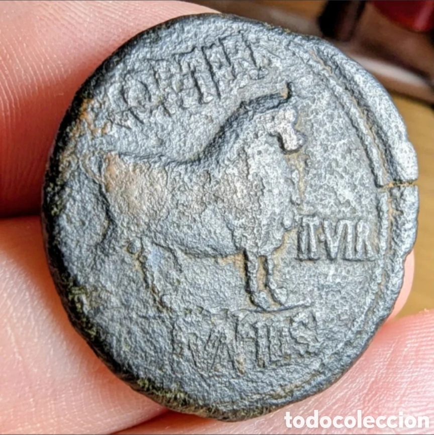 Monedas ib&eacute;ricas: As hispano-romano Celsa 27 a.C.-14 d.C. Augusto - Foto 3