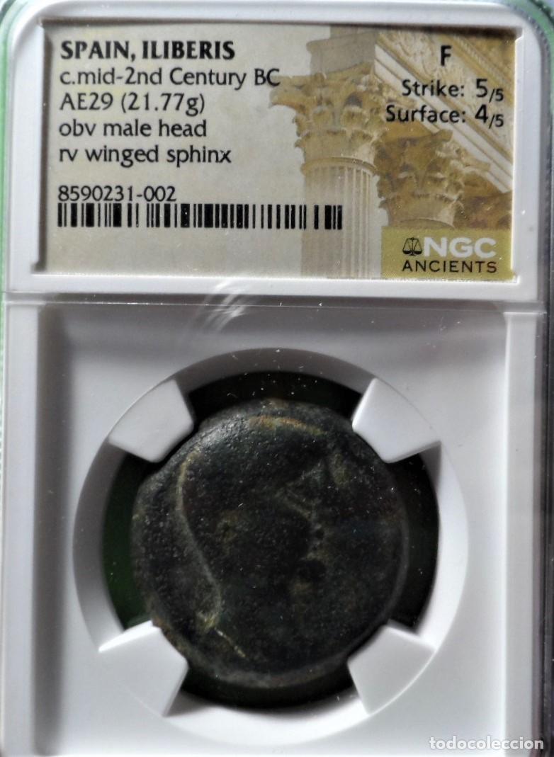 Monedas ib&eacute;ricas: ILIBERRI, As, GRANADA, A.B.-1499, CERTIFICADA NGC.