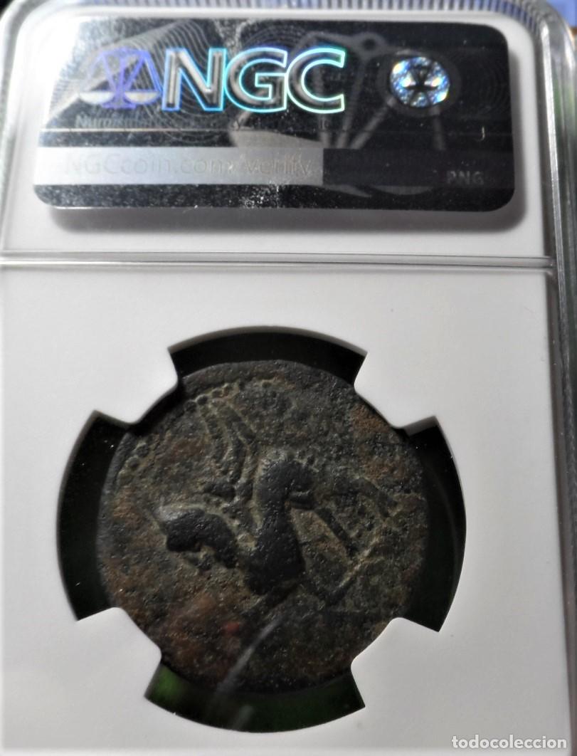 Monedas ib&eacute;ricas: ILIBERRI, As, GRANADA, A.B.-1499, CERTIFICADA NGC. - Foto 2