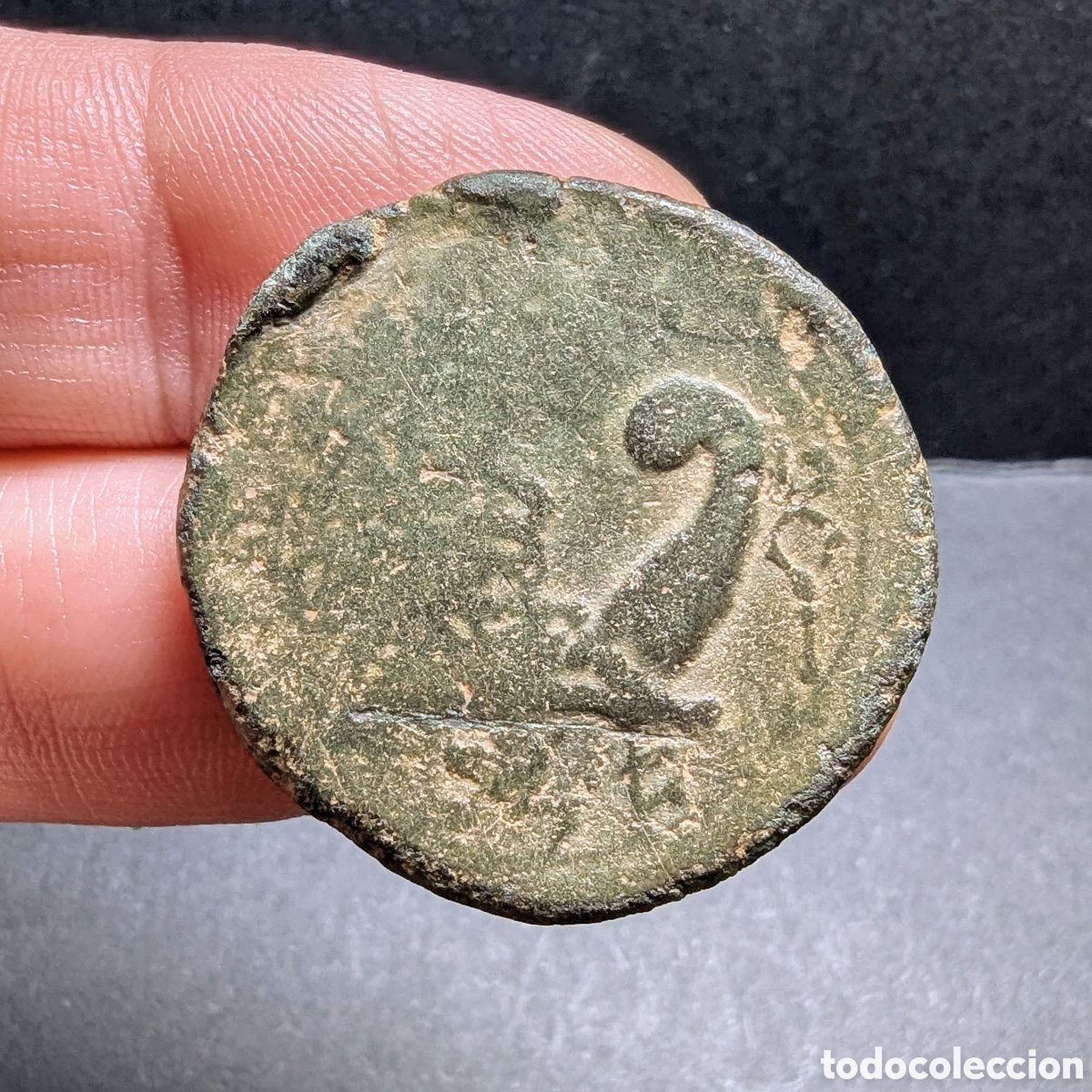 Monedas ib&eacute;ricas: As &iacute;bero Arse-Saguntum 130-80 a.C.