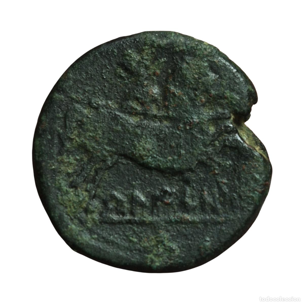 Monedas ib&eacute;ricas: NT/ AS IBERICO BELIGION (A1797) - Foto 2