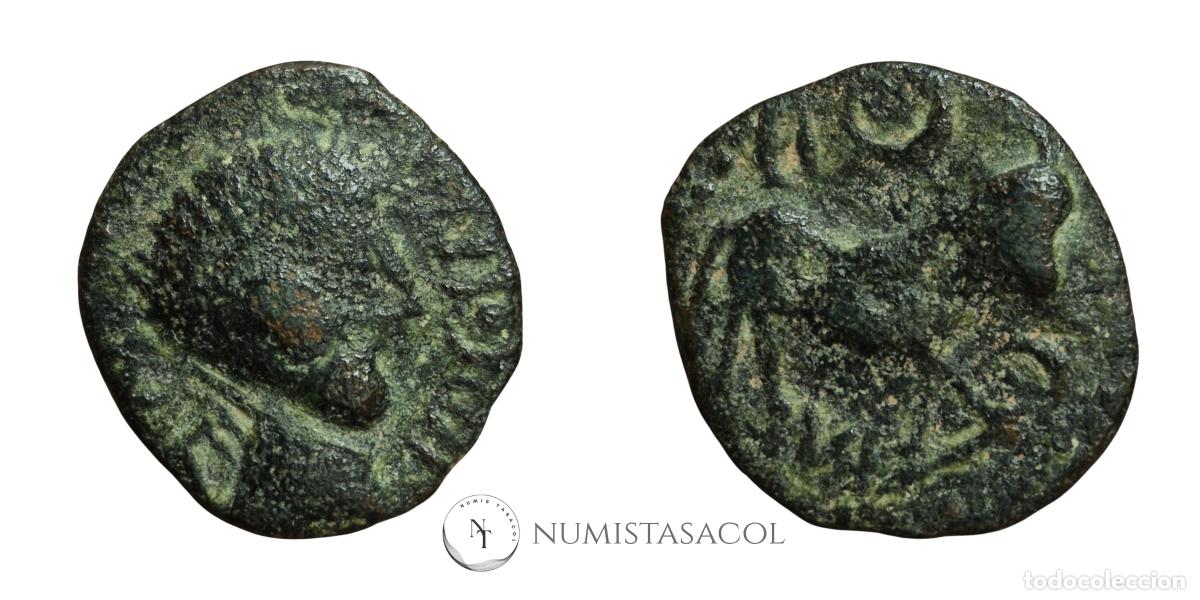 Monedas ib&eacute;ricas: NT/ SEMIS CECA INCIERTA IMITACIONES CASTULO (A1798) - Foto 3