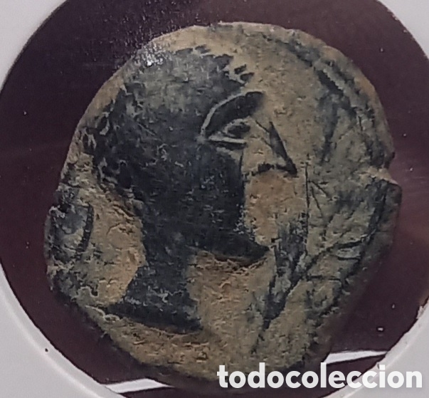 Monedas ib&eacute;ricas: SEMIS BRONCE DE CASTULO. S.IIA.C. LINARES,JA&Eacute;N. 3,1GR.