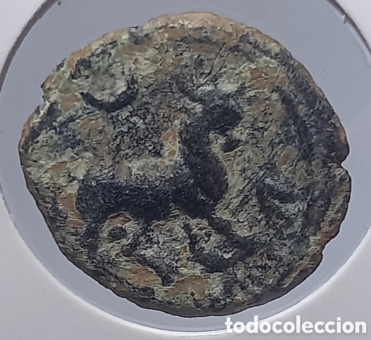 Monedas ib&eacute;ricas: SEMIS BRONCE DE CASTULO. S.II A.C.LINARES,JA&Eacute;N. - Foto 2