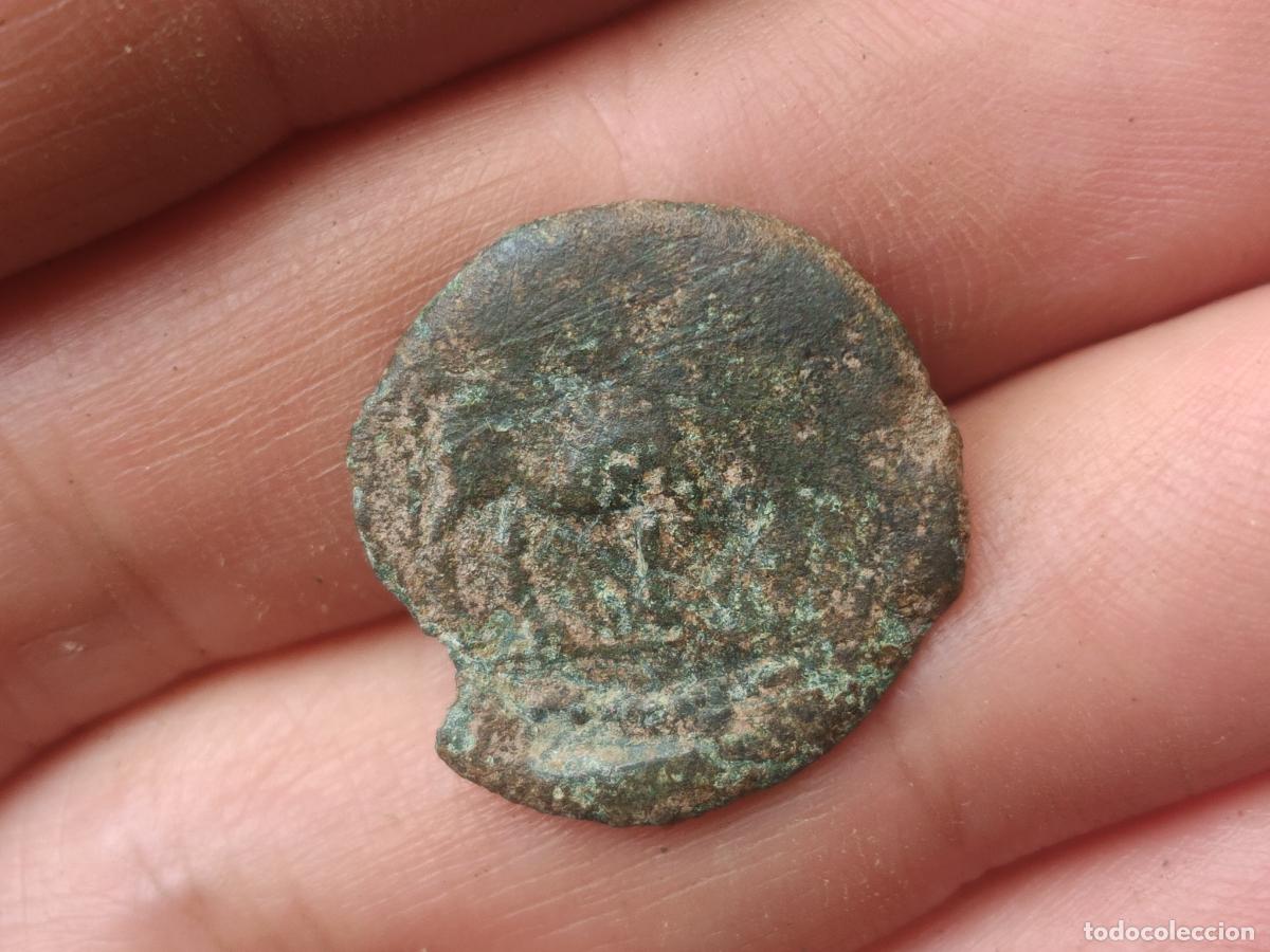 Monedas ib&eacute;ricas: Moneda ib&eacute;rica del sur - Foto 2