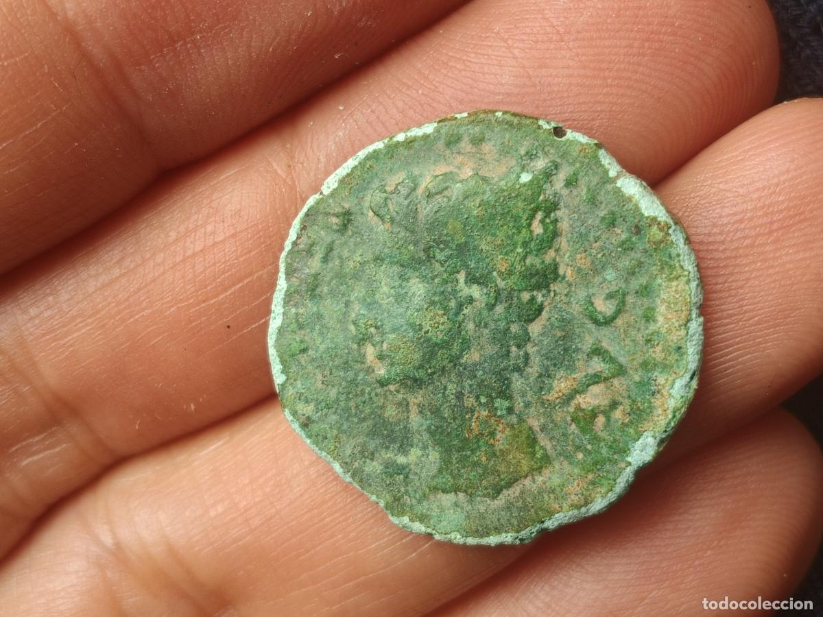 Monedas ib&eacute;ricas: ANTIGUA MONEDA AS DE COLONIA PATRICIA
