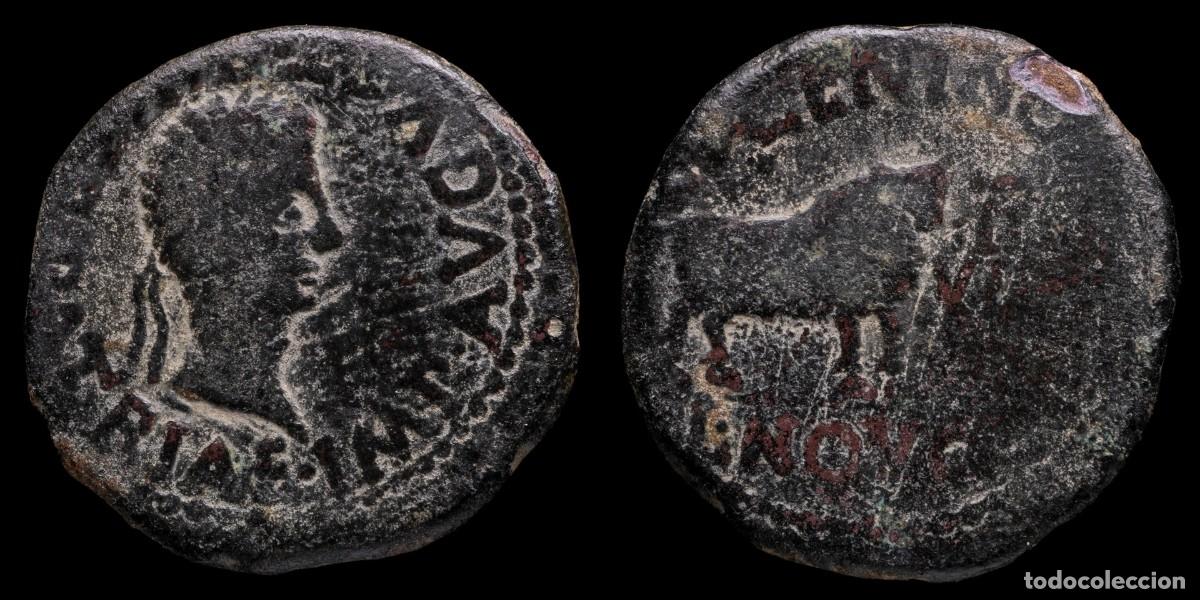 Monedas ib&eacute;ricas: Ancient Hispania, Augustus As Calagurri (Calahorra, La Rioja) - 28 mm / 12,42 gr.