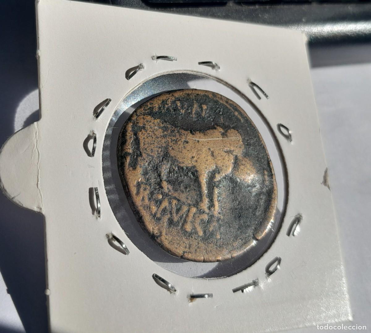 Monedas ib&eacute;ricas: AS DE HERCAVICA. 27-14 AC - Foto 2