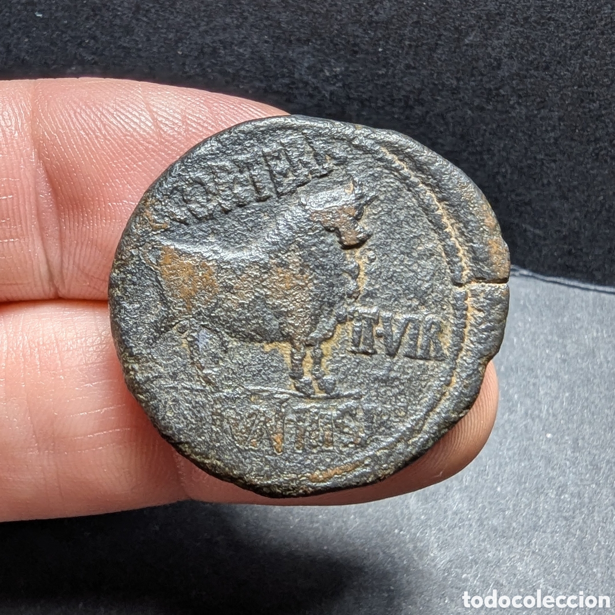 Monedas ib&eacute;ricas: As hispano-romano Celsa 27 a.C.-14 d.C. Augusto - Foto 1