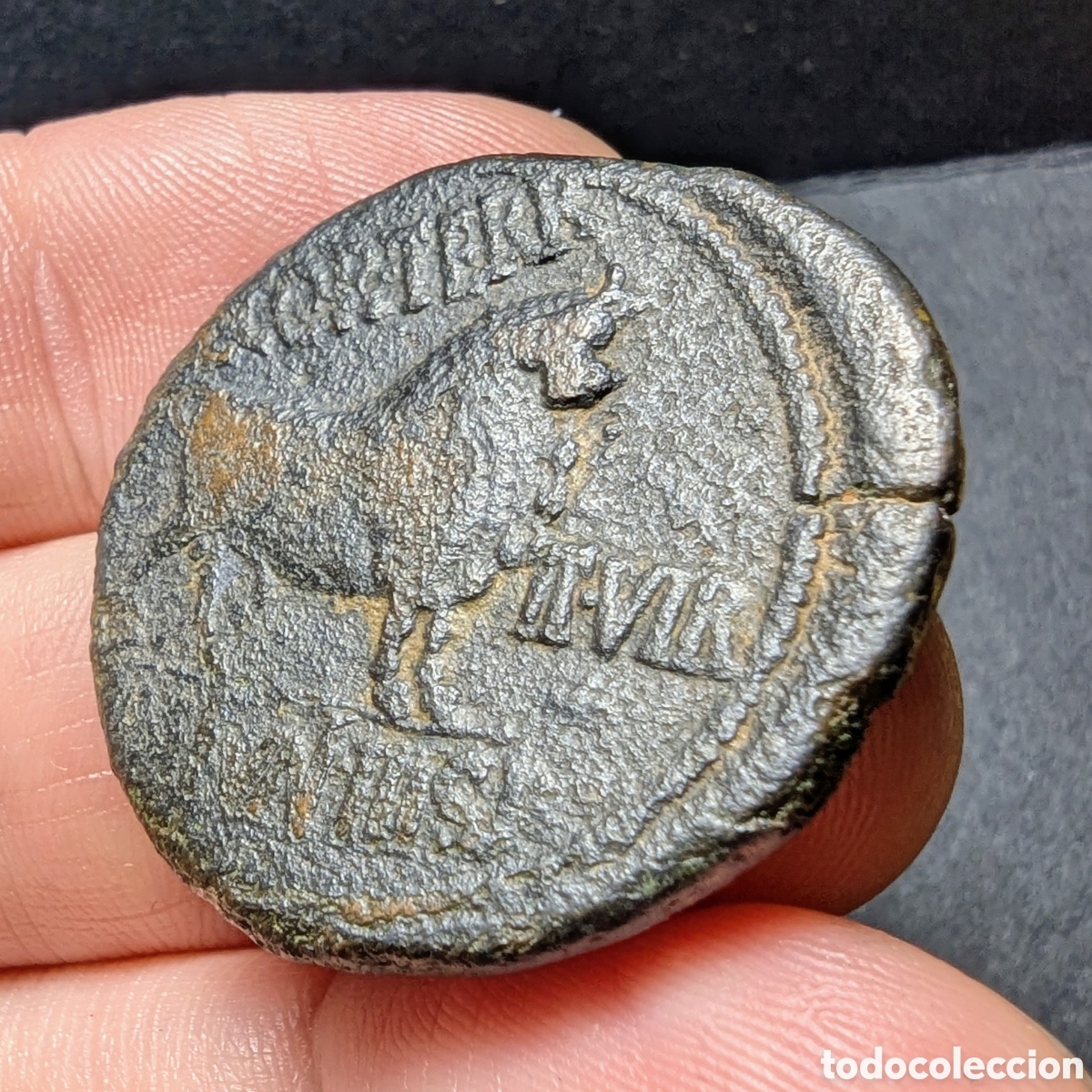 Monedas ib&eacute;ricas: As hispano-romano Celsa 27 a.C.-14 d.C. Augusto - Foto 4