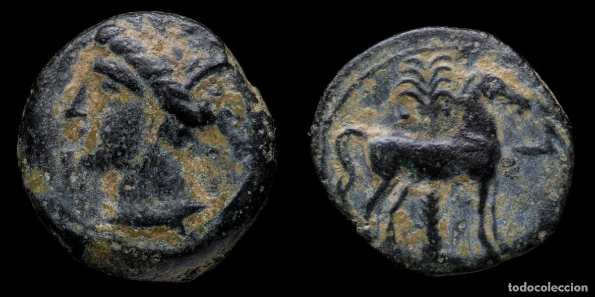 Monedas ib&eacute;ricas: Ancient Hispania - 1/2 Calco Cartagines, Cartagena (Murcia) - 17 mm / 3,43 gr.