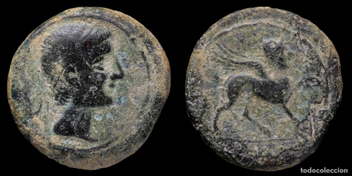 Monedas ib&eacute;ricas: Ancient Hispania - As Castulo (Linares, Jaen) - 29 mm / 19,12 gr.