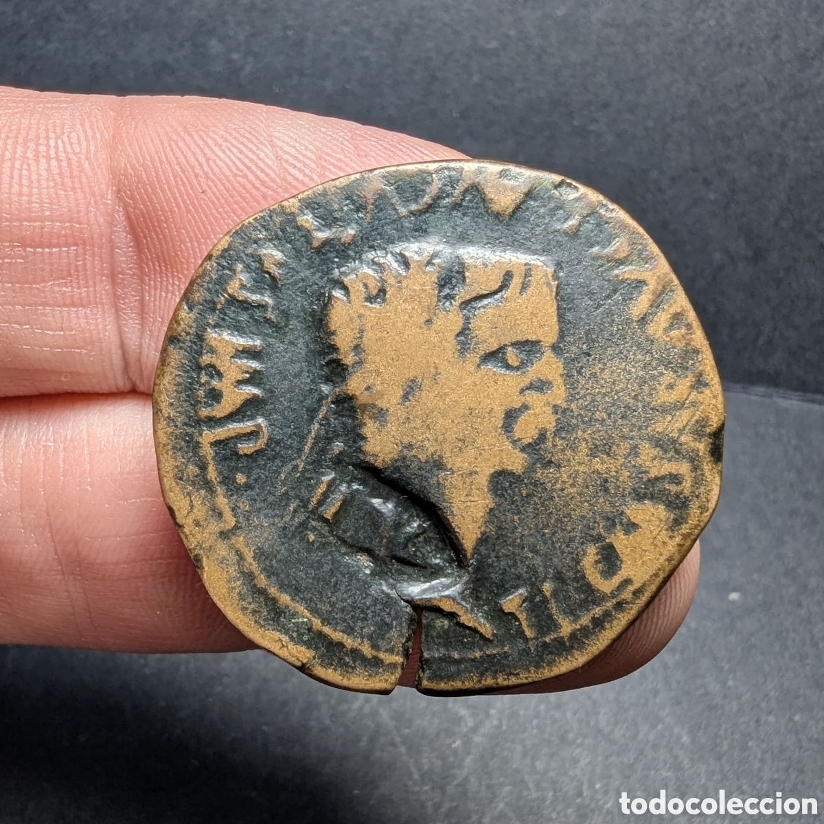 Monedas ib&eacute;ricas: As Clunia 14-37 d.C. &rdquo;contramarca jabal&iacute;-&aacute;guila&rdquo;