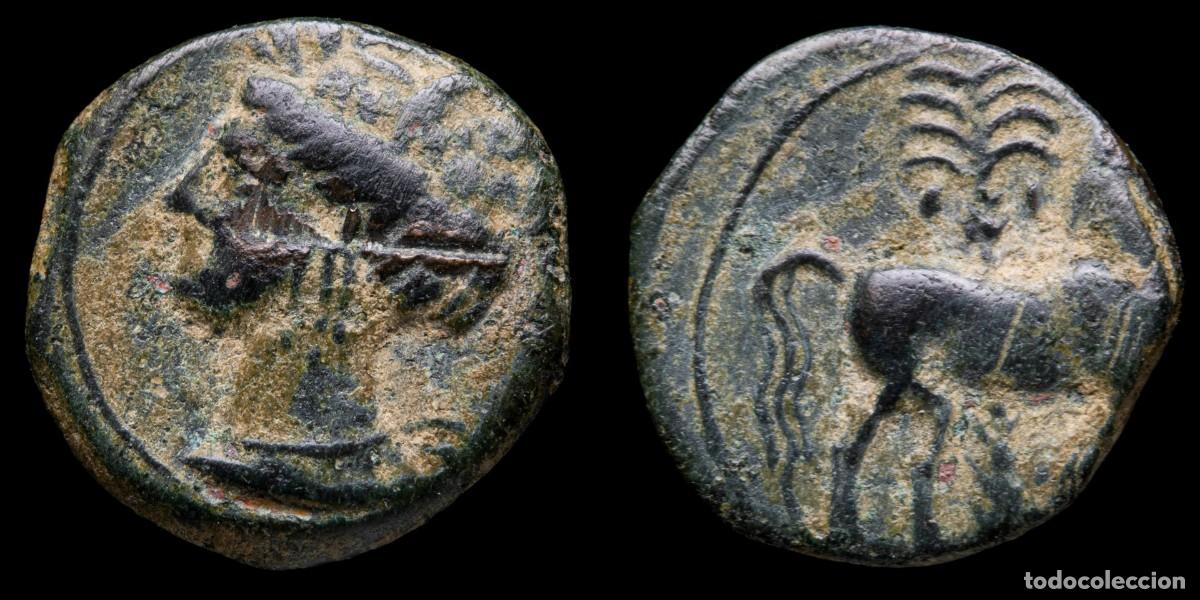 Monete iberiche: Cartagena, Hispanic-Carthaginian 1/2 Calco - 15 mm / 2,31 gr.Ancient Hispania - 1/2 Calco Cartagines