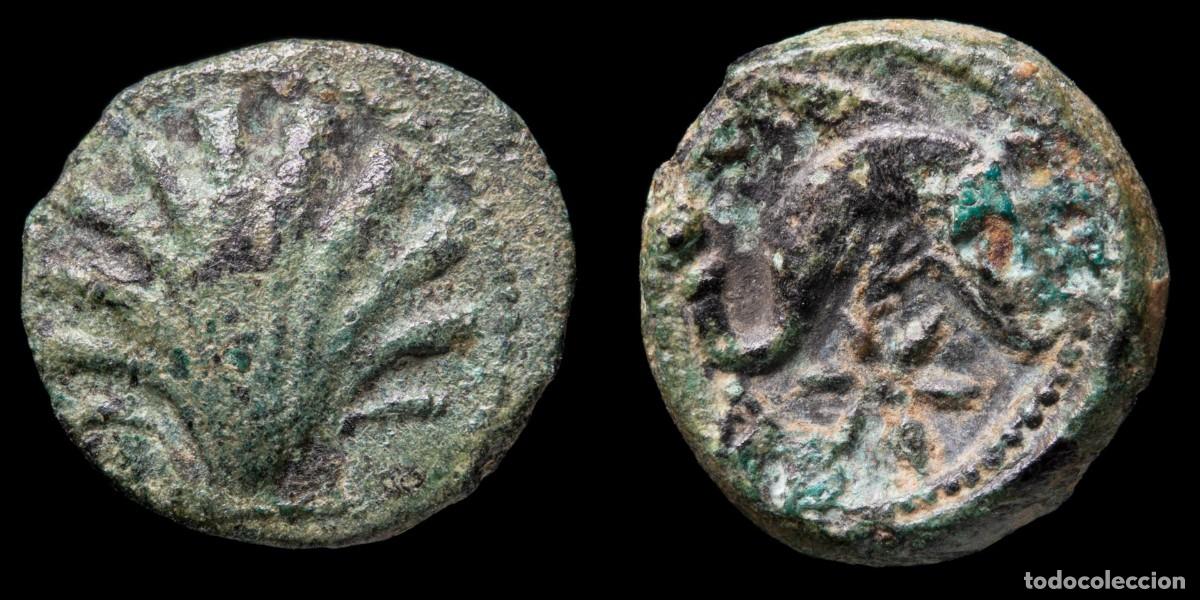 Iberische M&uuml;nzen: Ancient Hispania - Sextant Arse (Sagunto, Valencia) - 13 mm 1,47 gr.