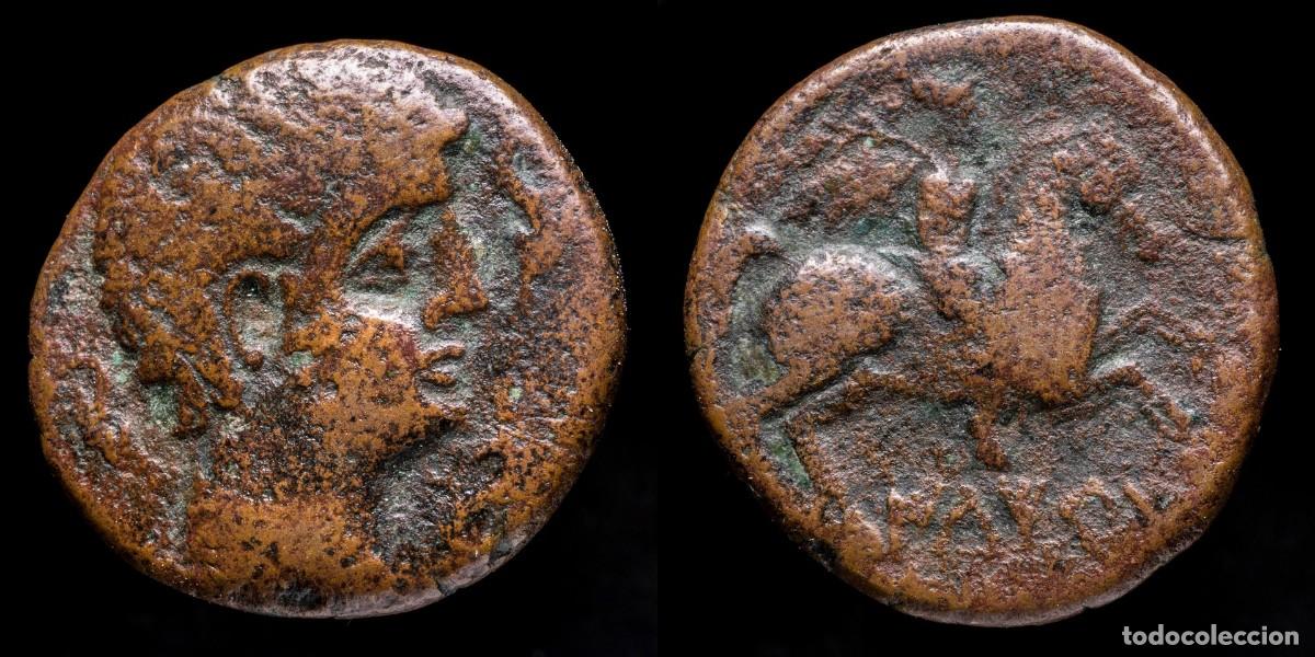 Iberische M&uuml;nzen: Ancient Hispania - As Iltirta (Lerida) - 25 mm / 10,12 gr.