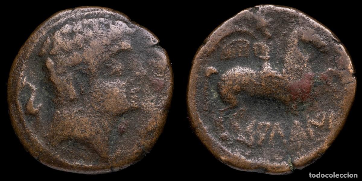Iberische M&uuml;nzen: Ancient Hispania - As Salduie (Zaragoza) - 25 mm / 8,41 gr.