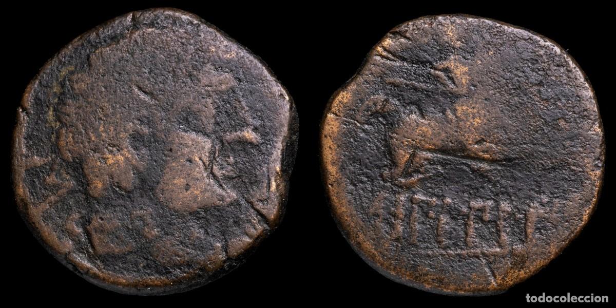 Iberische M&uuml;nzen: Ancient Hispania - As Bilbilis (Calatayud, Zaragoza) - 25 mm / 10,96 gr.