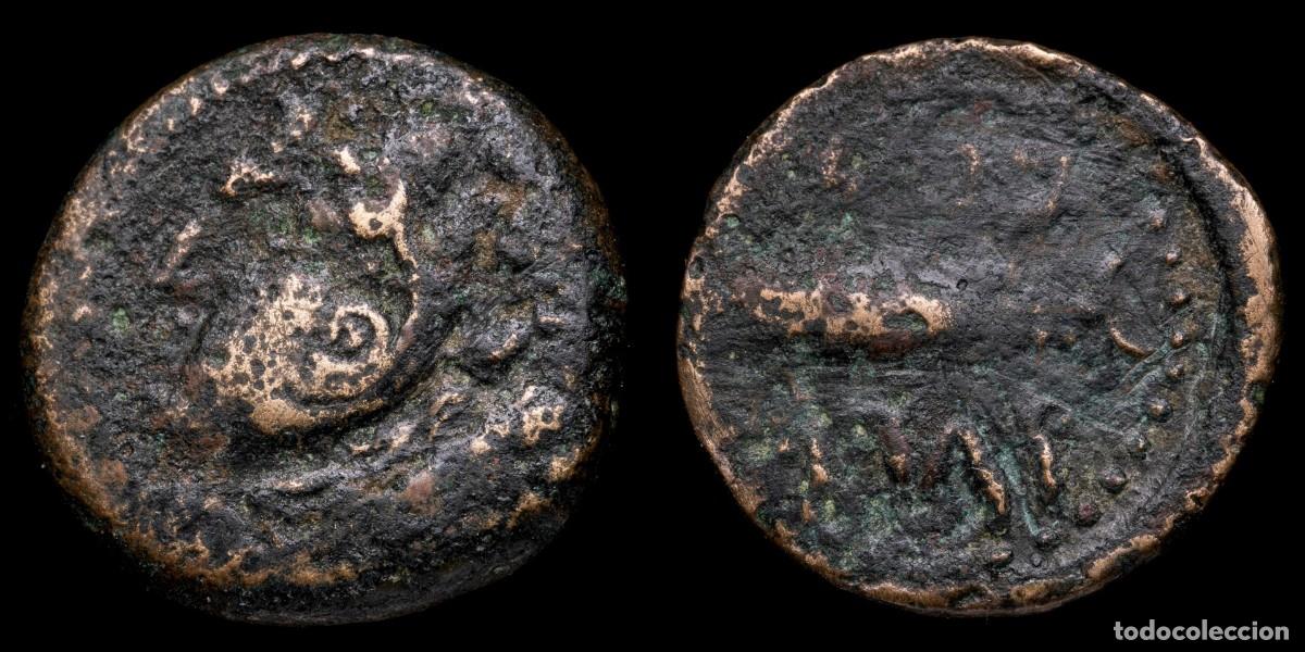 Iberische M&uuml;nzen: Ancient Hispania - Semis Gades (Cadiz) - 20 mm / 6,54 gr.