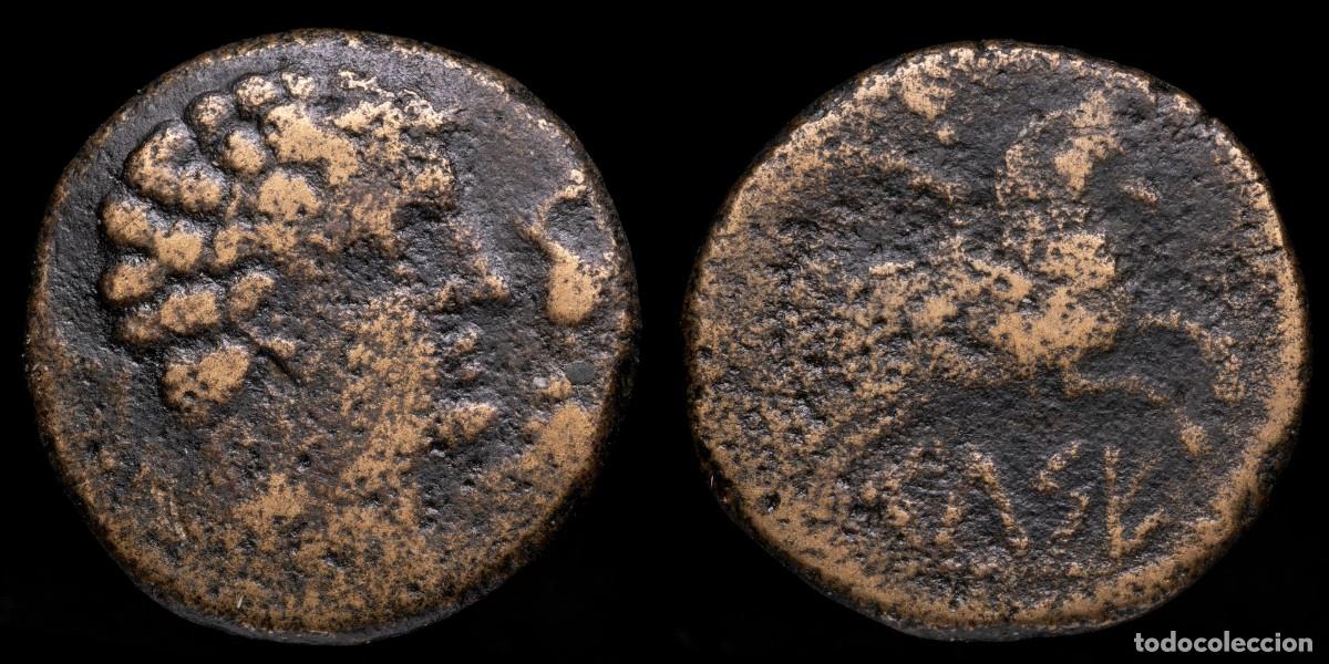 Iberische M&uuml;nzen: Ancient Hispania - As Kese Tarraco (Tarragona) - 27 mm / 12,33 gr.
