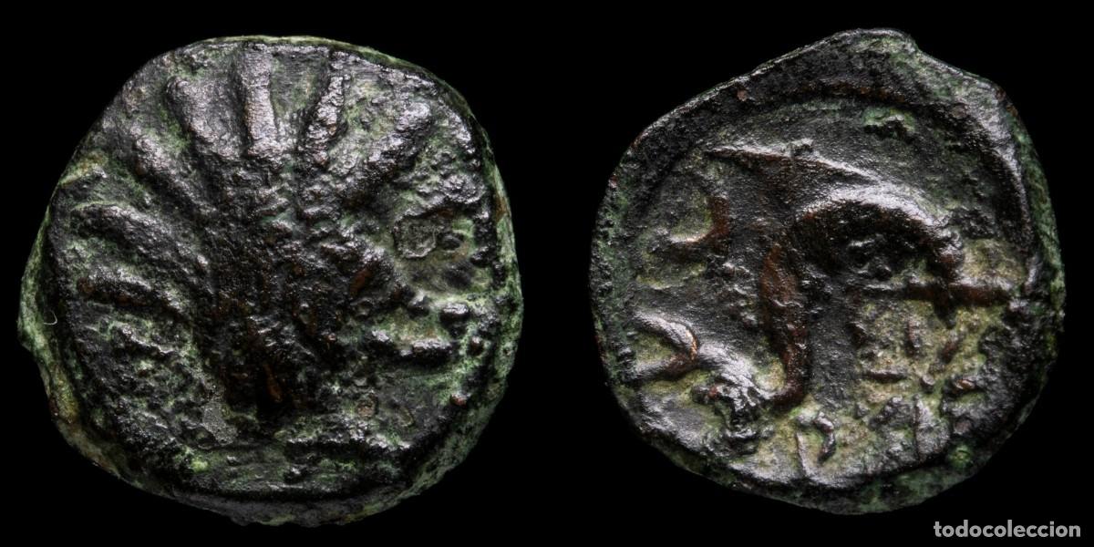 Iberische M&uuml;nzen: Ancient Hispania - Sextant Arse (Sagunto, Valencia) - 13 mm / 1,64 gr.