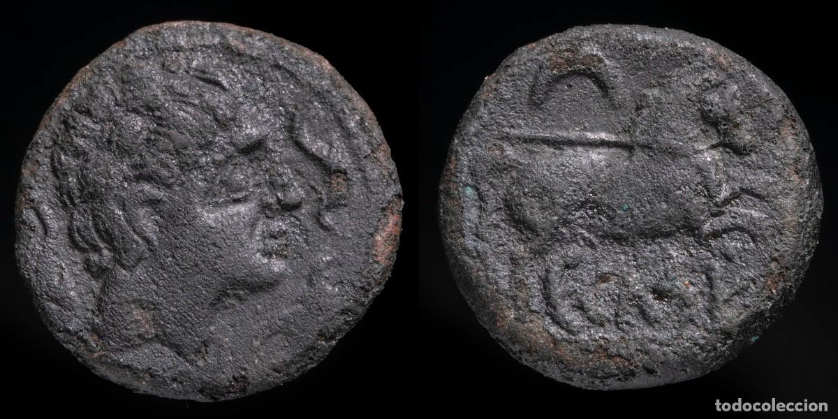 Iberische M&uuml;nzen: Ancient Hispania - Semis Kese Tarraco (Tarragona) - 19 mm / 4,70 gr.