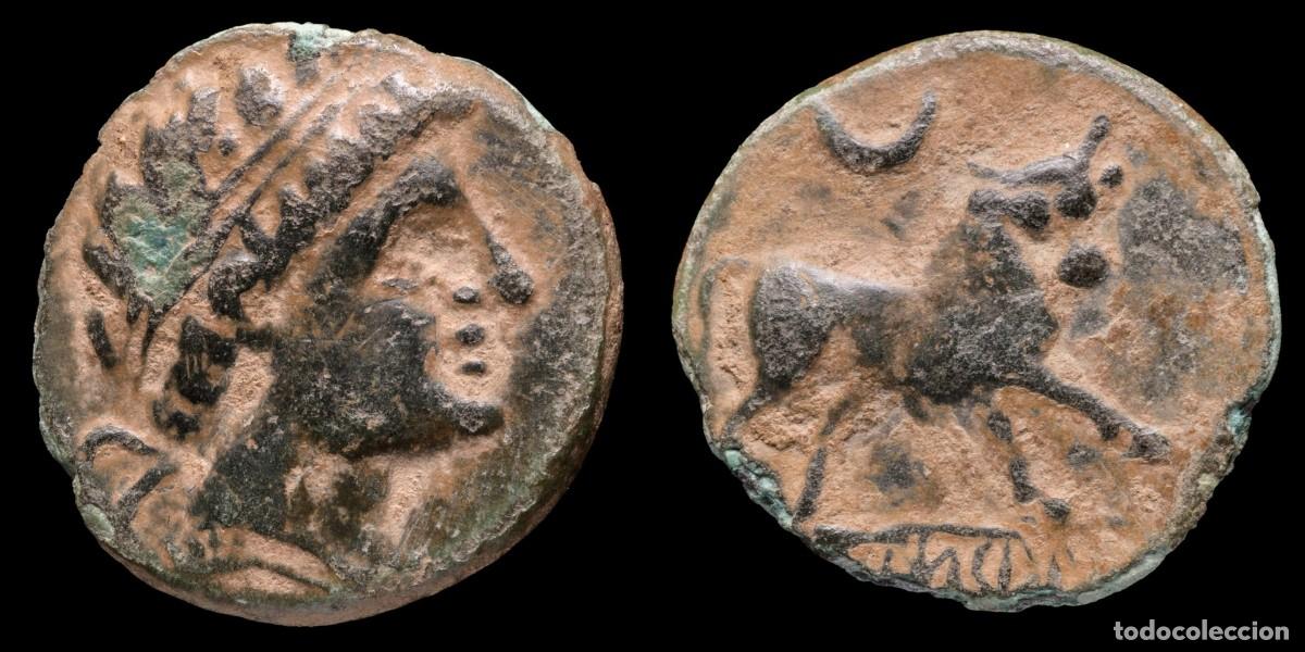 Moedas ib&eacute;ricas: Ancient Hispania - Semis Castulo (Cazlona, Jaen) - 18 mm / 4,19 gr.