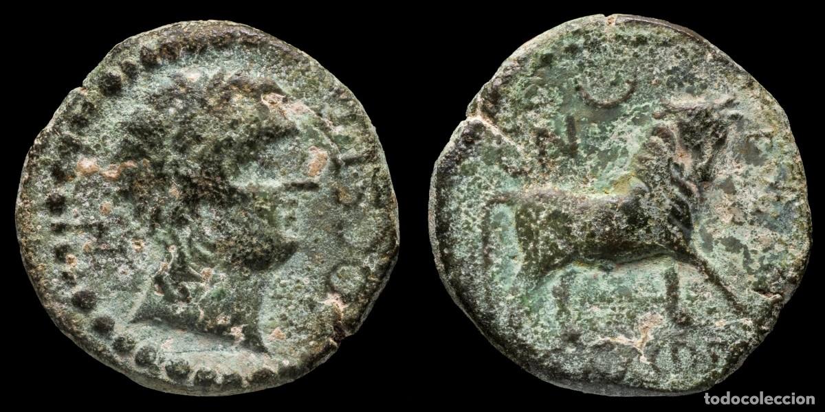 Monnaies ib&eacute;riques: Ancient Hispania - Semis Castulo (Cazlona, Jaen) - 22 mm / 9,14 gr.