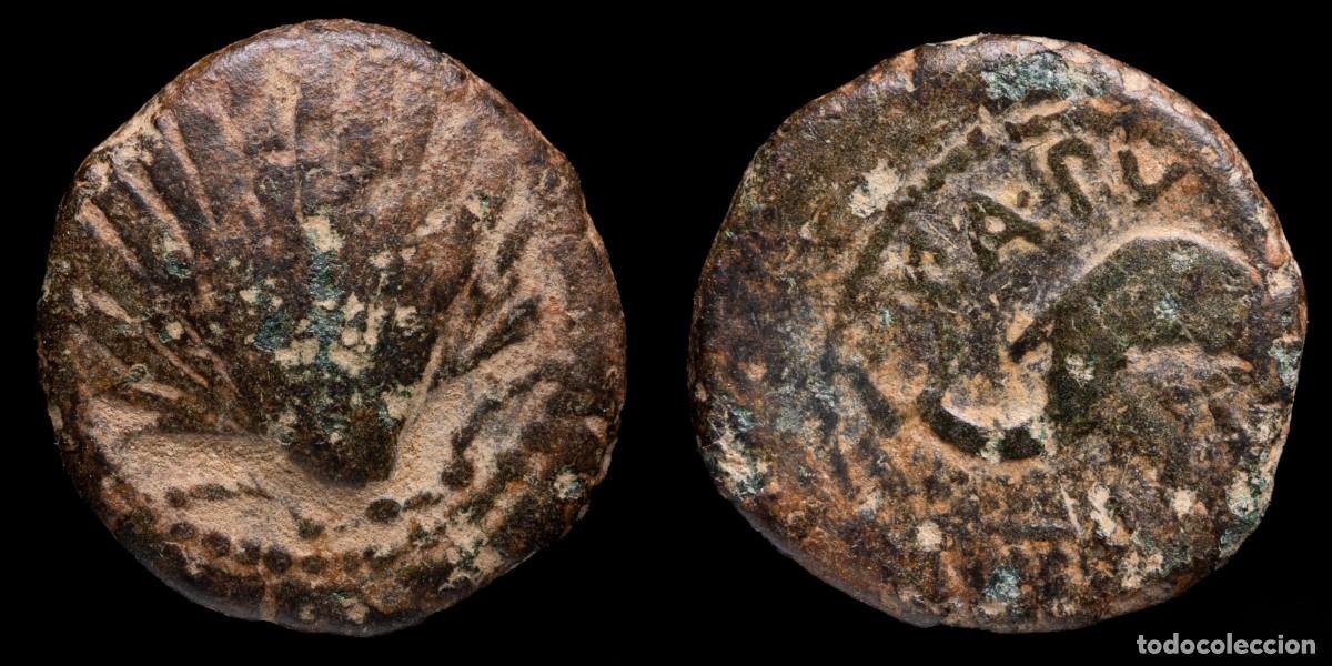 Monnaies ib&eacute;riques: Ancient Hispania - Quadrans Arse (Sagunto, Valencia) - 16 mm / 3,34 gr.
