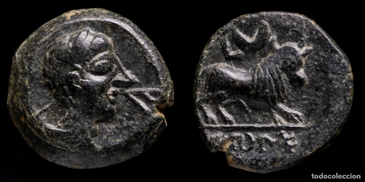 Monnaies ib&eacute;riques: Ancient Hispania - Semis Castulo (Cazlona, Jaen) - 17 mm / 4,61 gr.