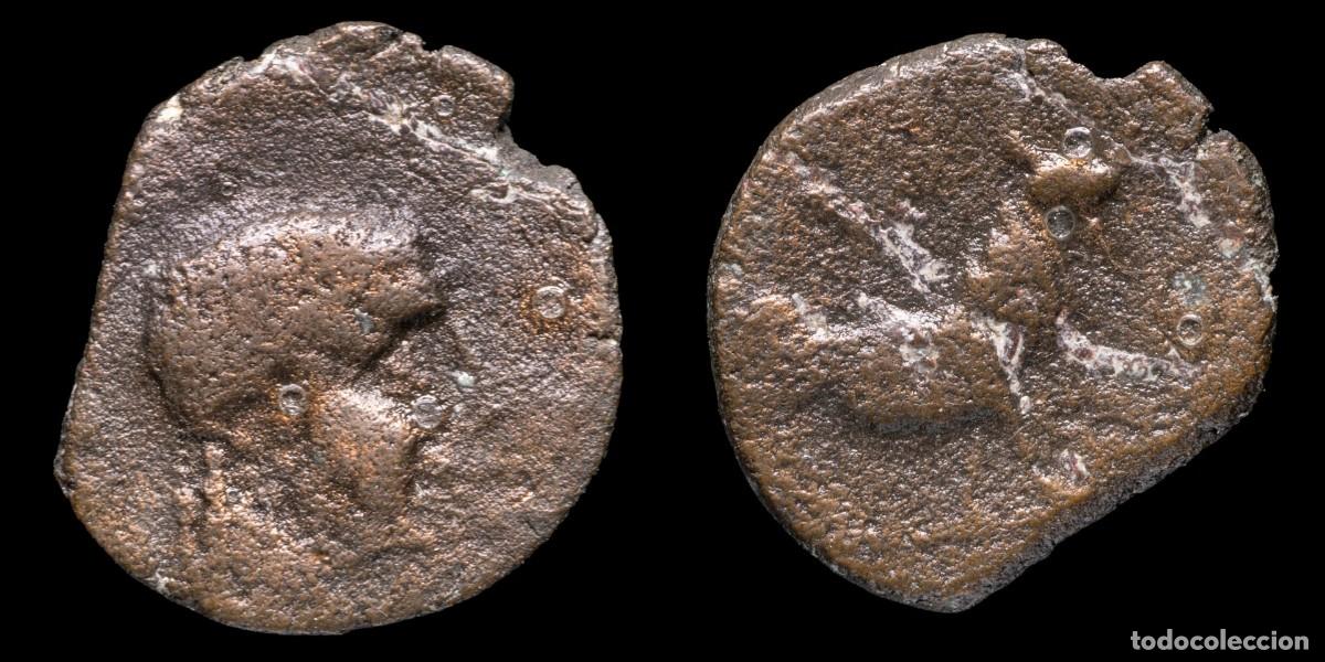 Monnaies ib&eacute;riques: Ancient Hispania - Semis Castulo (Cazlona, Jaen) - 19 mm / 3,99 gr.