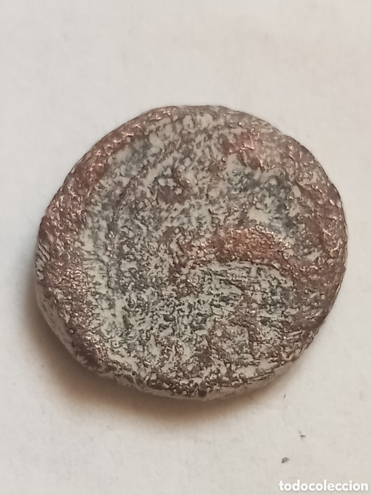 Monedas ib&eacute;ricas: CARTEIA - SIGLO I B.C - CUADRANTE - Foto 2