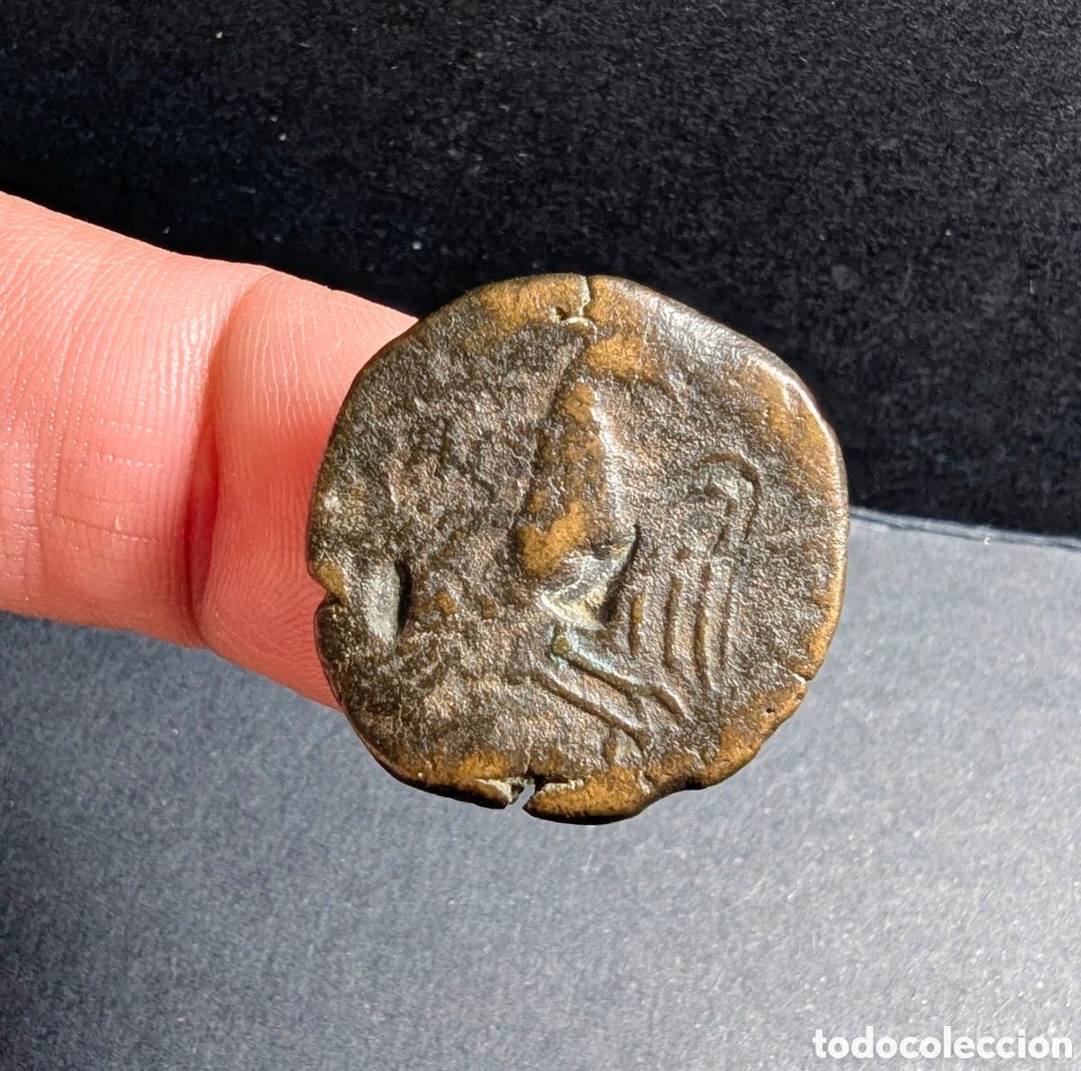 Monnaies ib&eacute;riques: Semis &iacute;bero Obulco 165-110 a.C.