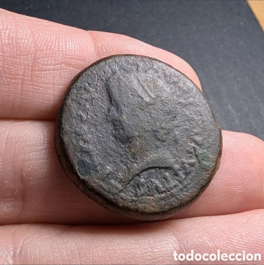 Monedas ib&eacute;ricas: As hispano-romano Acci 14-36 d.C. ( Tiberio ) - Foto 3