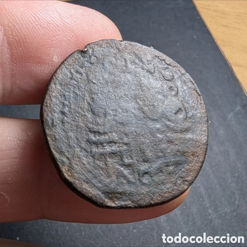 Monedas ib&eacute;ricas: As hispano-romano Acci 14-36 d.C. ( Tiberio ) - Foto 4