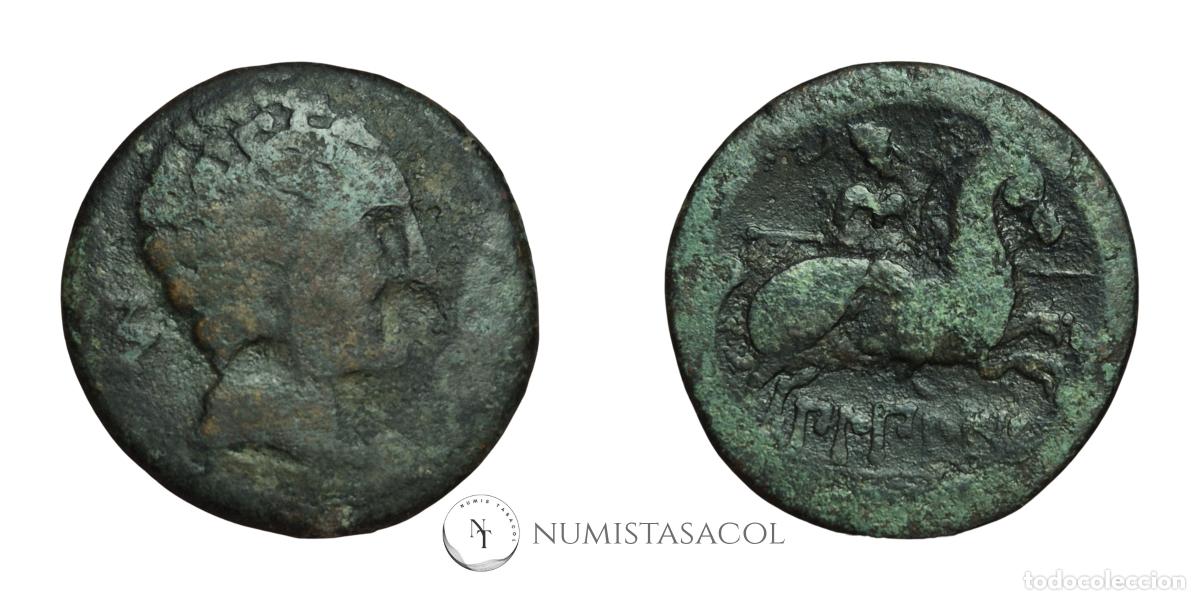 Monedas ib&eacute;ricas: NT/ AS IBERICO BILBILIS (A1947) - Foto 3