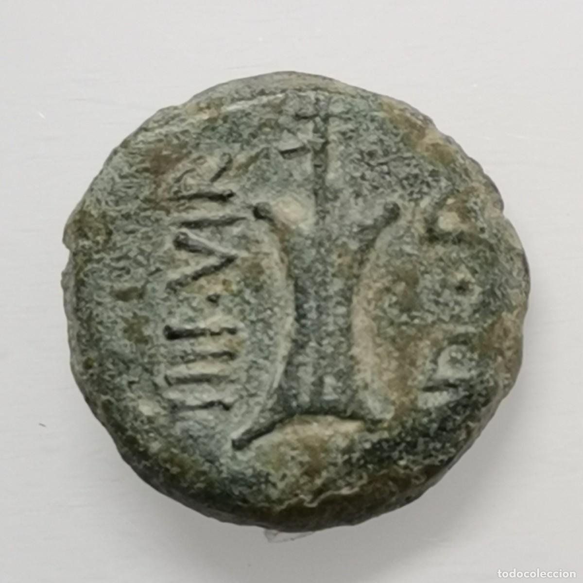 Monedas ib&eacute;ricas: SEMIS DE CARTEIA (SAN ROQUE) - DELF&Iacute;N Y TIM&Oacute;N - &Eacute;POCA DE AUGUSTO (27a.C. a 14a.C