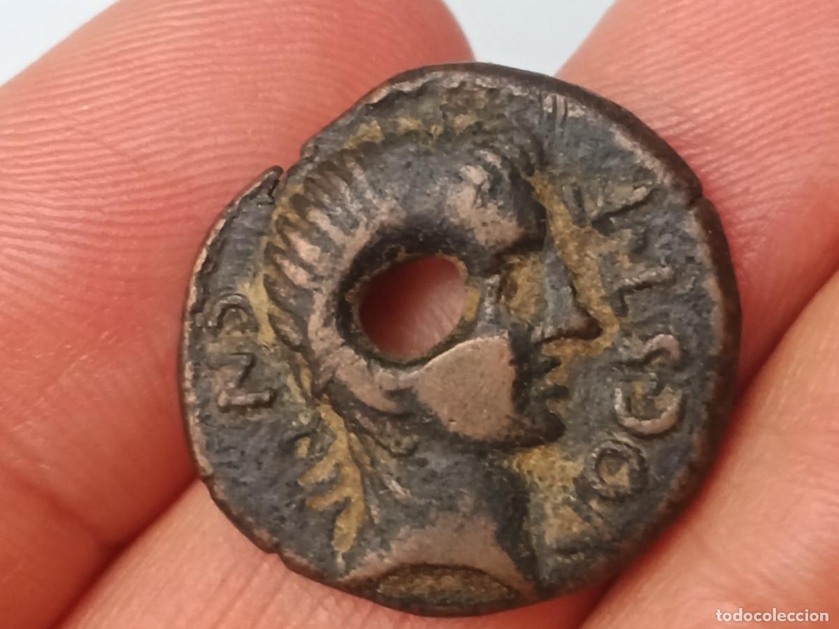 Monedas ib&eacute;ricas: SEMIS DE CASTULO TALADRADO