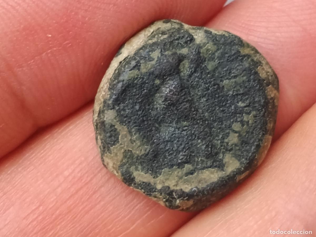 Monedas ib&eacute;ricas: CORDUBA SEMIS 50 a.c. - Foto 2