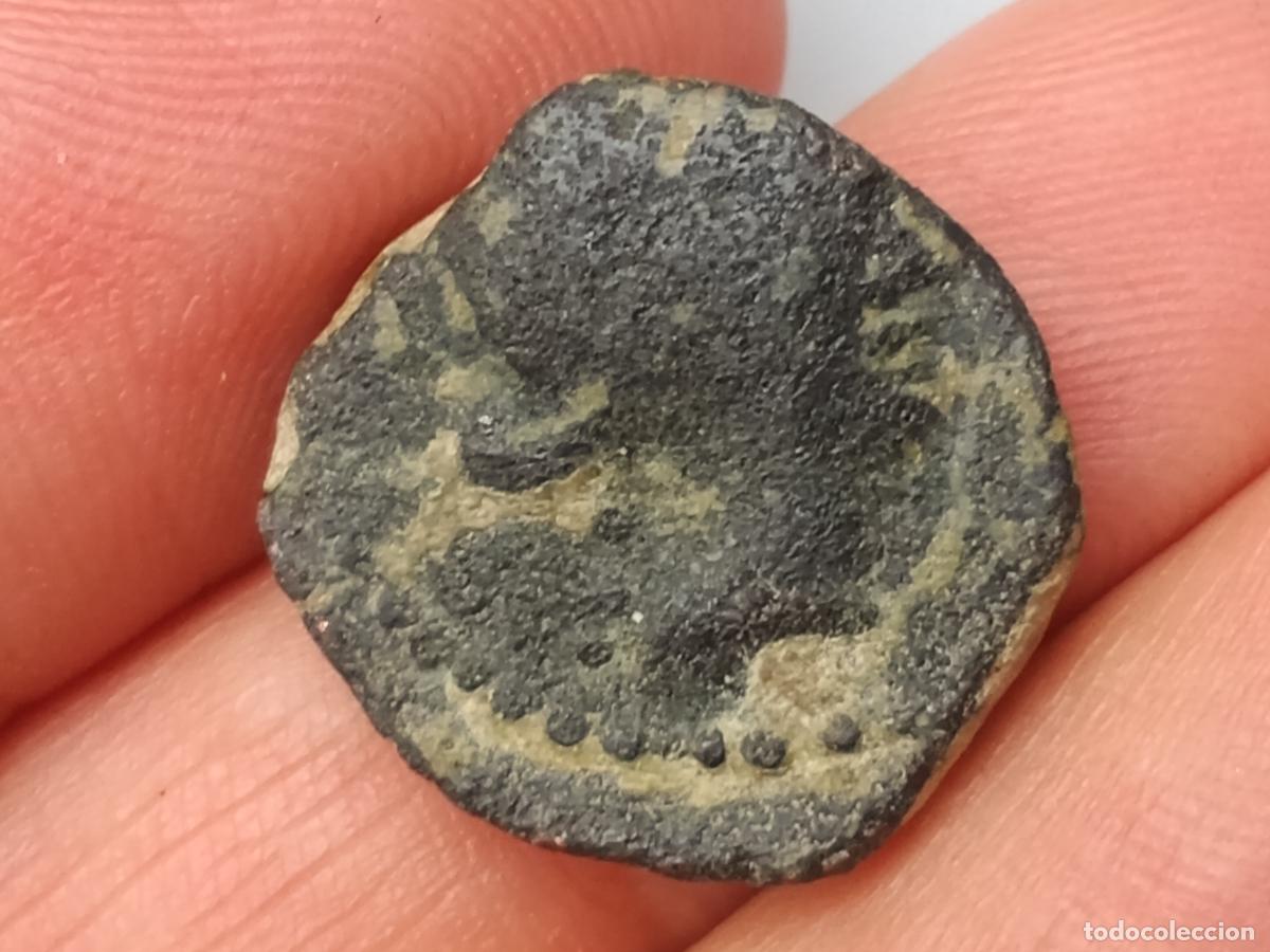 Monedas ib&eacute;ricas: CORDUBA SEMIS 50 a.c.