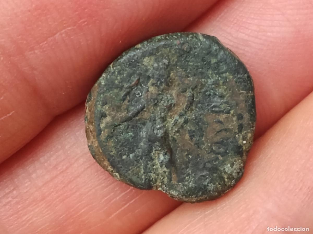 Monedas ib&eacute;ricas: CORDUBA cuadrante 50 a.c. - Foto 2