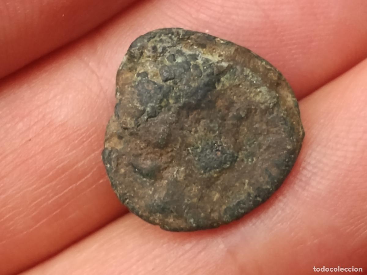 Monedas ib&eacute;ricas: CORDUBA cuadrante 50 a.c.