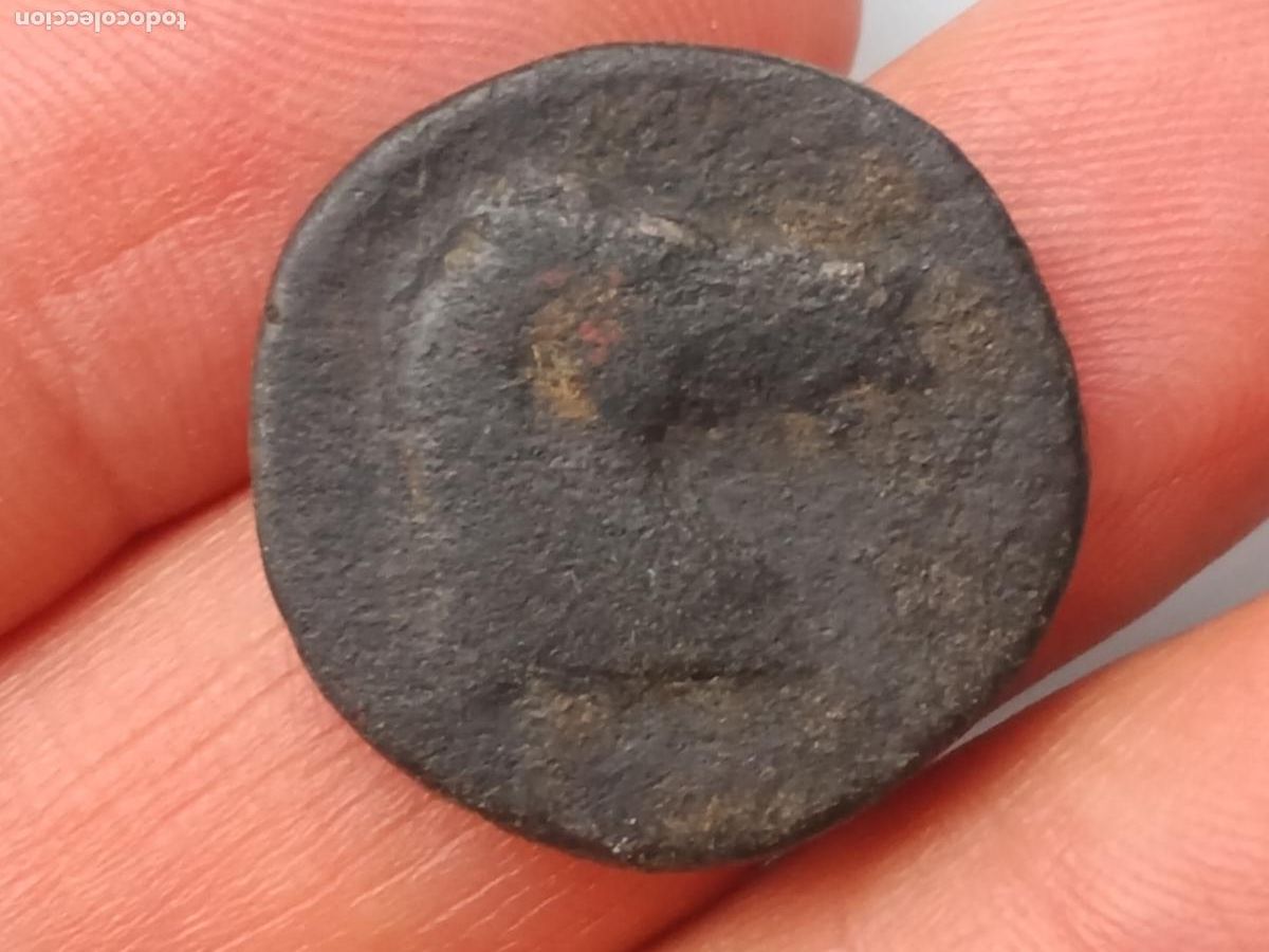Monedas ib&eacute;ricas: Moneda Cartaginesa (221-218 d.C) Cartagena , Murcia. Tanit Caballo