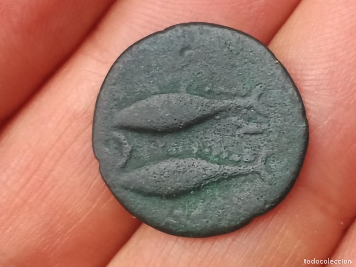 Monedas ib&eacute;ricas: Gades, C&aacute;diz. Medio calco - Foto 2